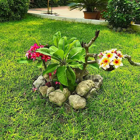 Bed and Breakfast Antica